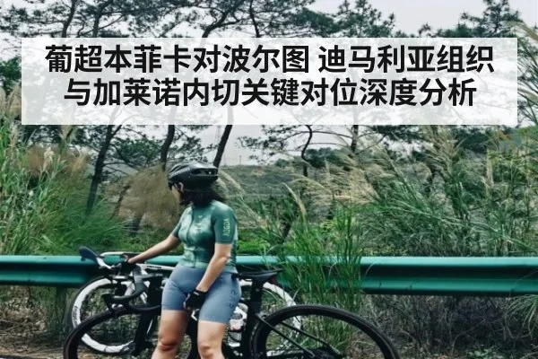葡超本菲卡对波尔图 迪马利亚组织与加莱诺内切关键对位深度分析